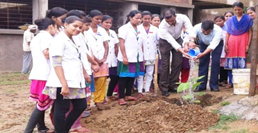 Van Mahotsav Day